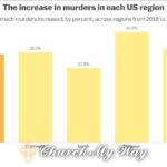 Violent Crime Offender vs Victim Demographics