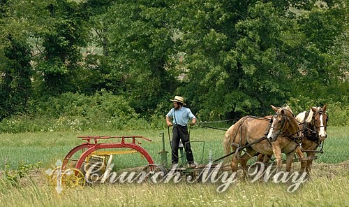 Black Amish